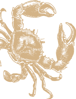 Krebs